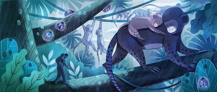 016e5c5f3621c5a80120a821b32f6f