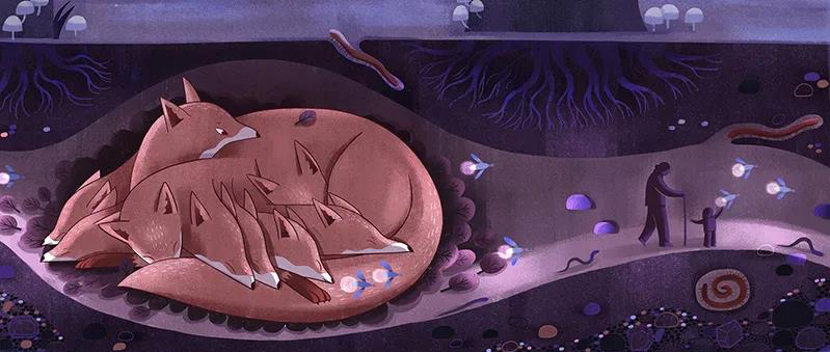 01b08f5f3621c6a801215aa0989663