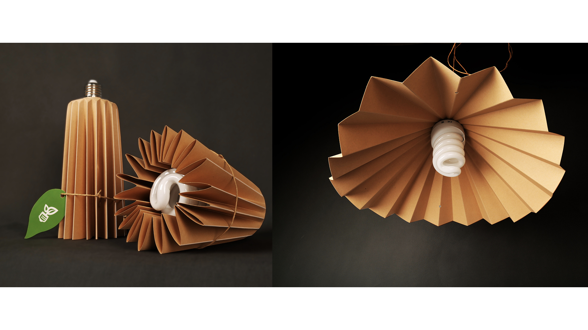 01f3a0603e099411013f3745a320c6