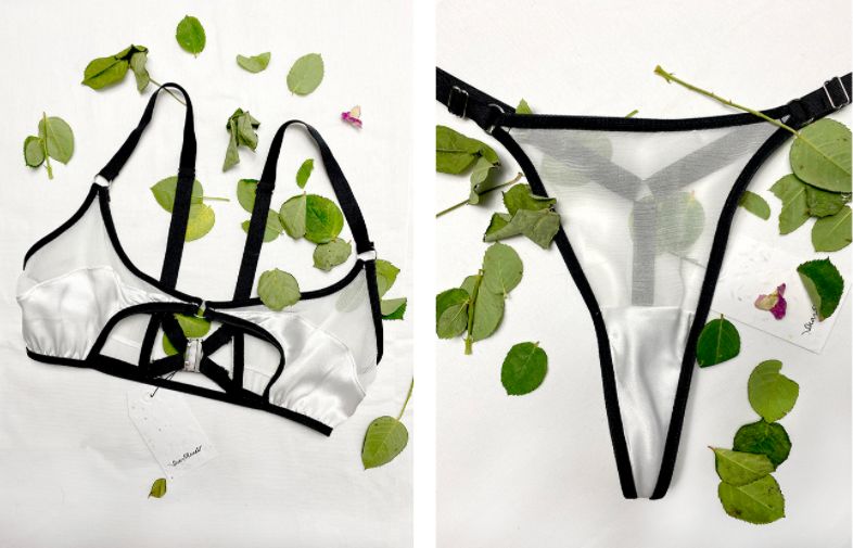 v2-aa52430ede479b3cb695a26c2d80c44f_r